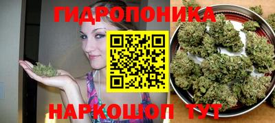 индика Абакан