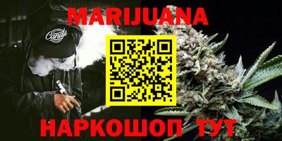 индика Абакан