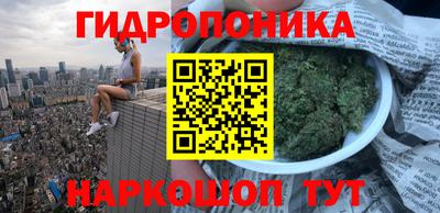 индика Абакан