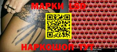 индика Абакан
