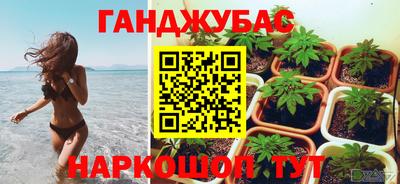 индика Абакан