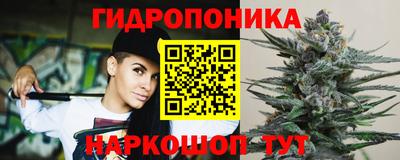 индика Абакан
