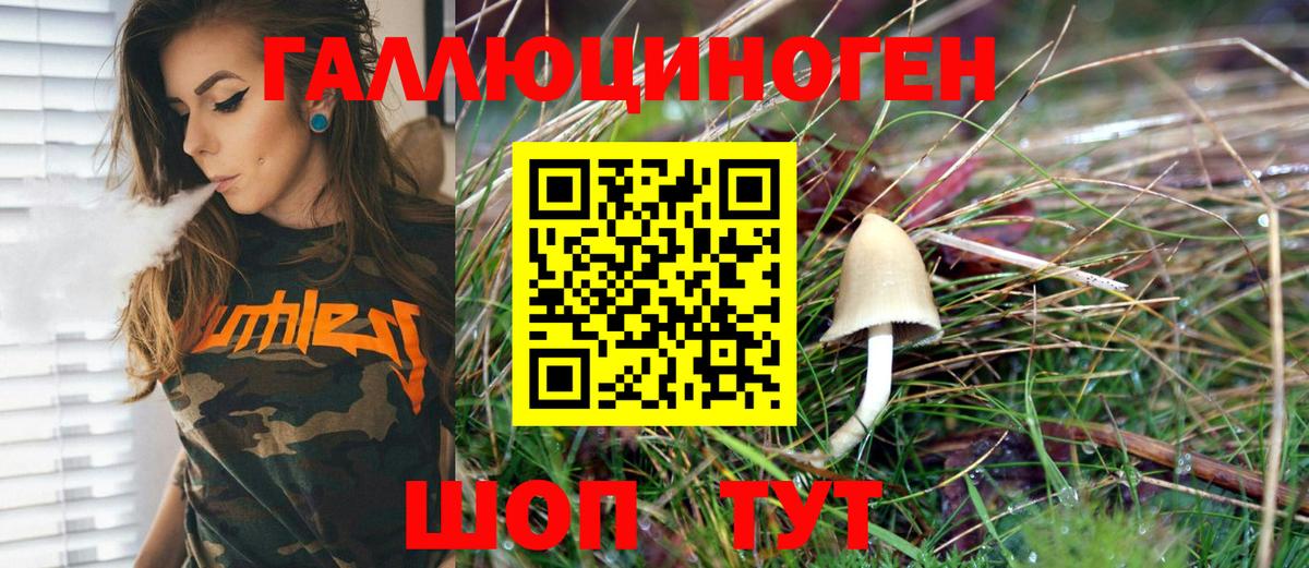 продажа наркотиков  Вход с VPN  Абинск  Псилоцибиновые грибы Magic Shrooms 